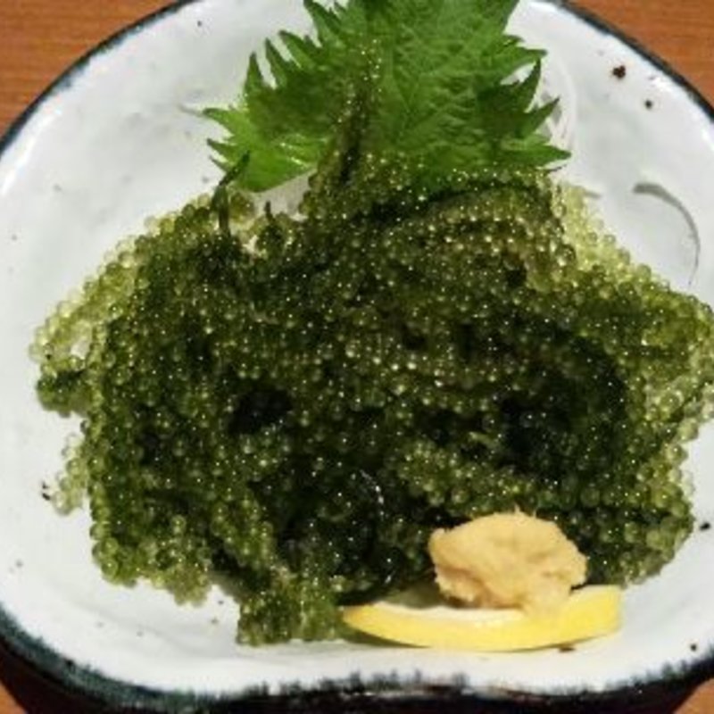 海ぶどう(月の都 )