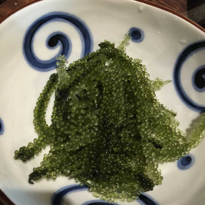 沖縄直送 ぷちぷち海ぶどう(九州酒場 まる 藤沢店)