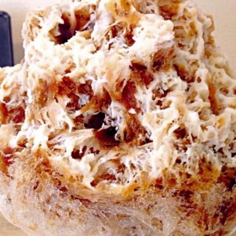 かき氷（珈琲シロップ練乳&珈琲ミルクアイス）(野口商店)