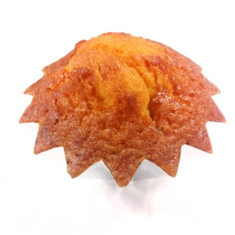 バニラマドレーヌ(やきがしや SUSUCRE （シュシュクル）)