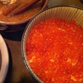 いくら丼(ぺりーのいくら丼)