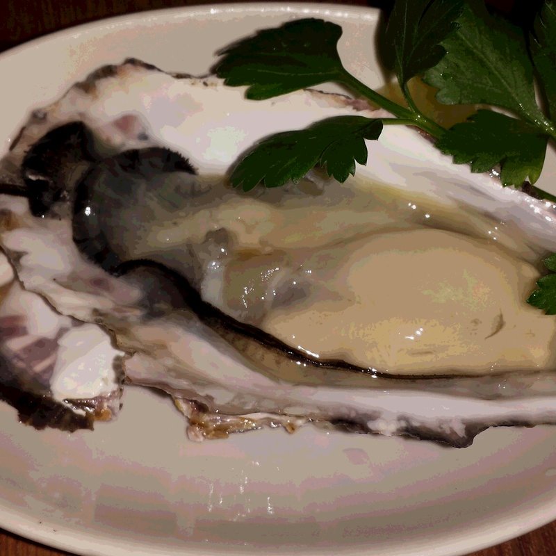 瀬戸内産の生牡蠣(ターブル　ド　ペール )