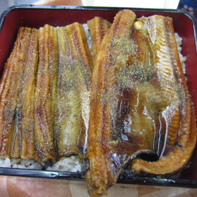 煮穴子重(アクアわくわく市場　かもめ食堂 )