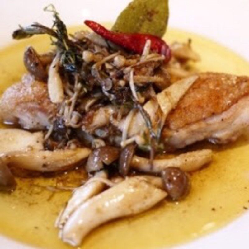 グリルドチキンたっぷりキノコ添え(ヴェッキオアルベロ （VecchioAlbero）)