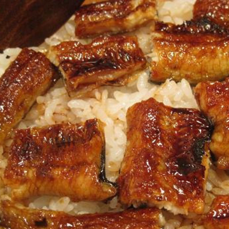 おまかせコース(まつおか)