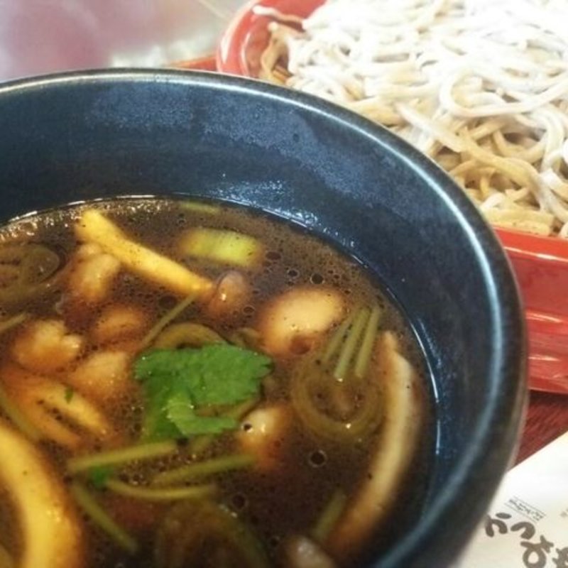 鴨汁せいろ(藁葺き屋根　かつみや)