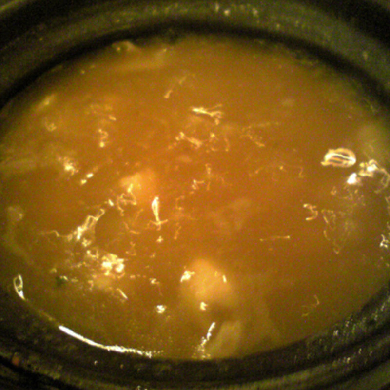 茶色の鶏のオジャ(Bar de Ollaria（バルデオジャリア）)