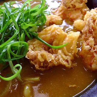 温玉とり天カレーうどん(三ツ島　真打)