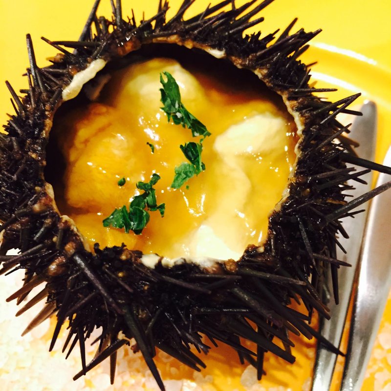 ウニのフラン(Italian Kitchen VANSAN)