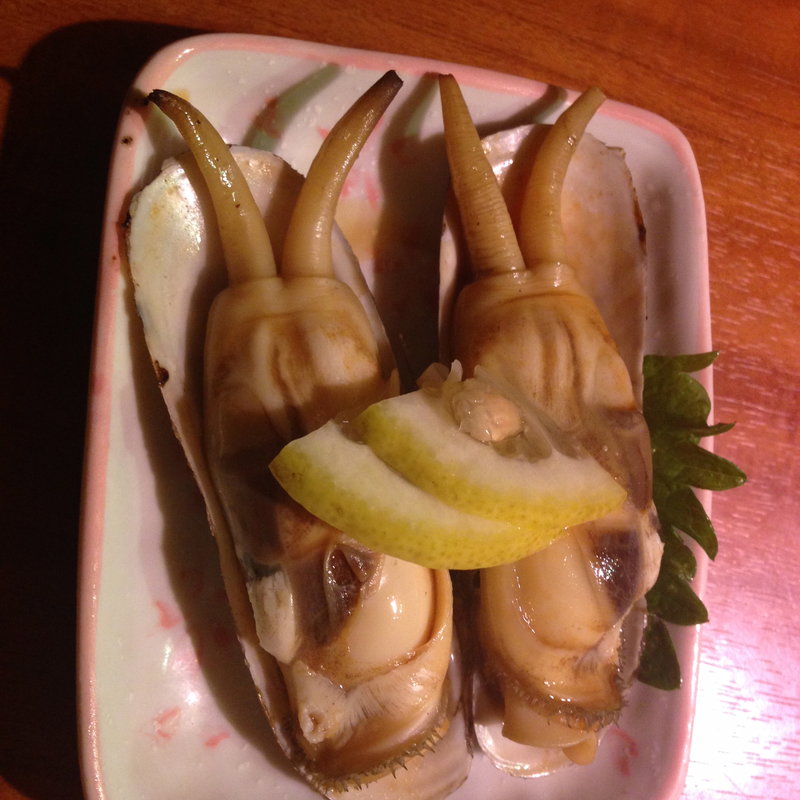 あげまき貝(かじしか )