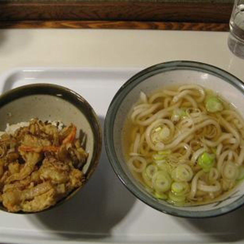 野菜のかき揚げ丼とうどんのセット(星のうどん （ほしのうどん）)