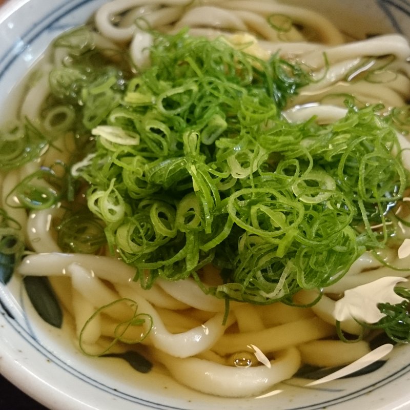 かけうどん（並）(香の川製麺 羽曳野店)