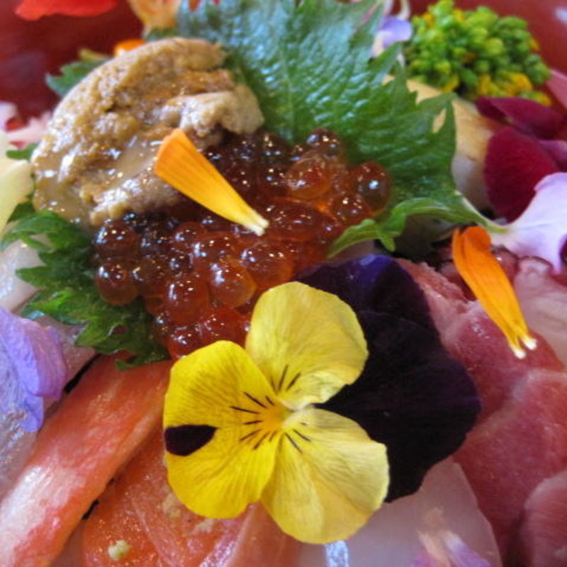 山海花ちらし(大徳家)