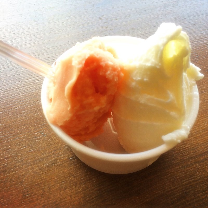 ヨーグルト＆ブラッドオレンジ　ダブルカップ(鎌倉ジェラート)