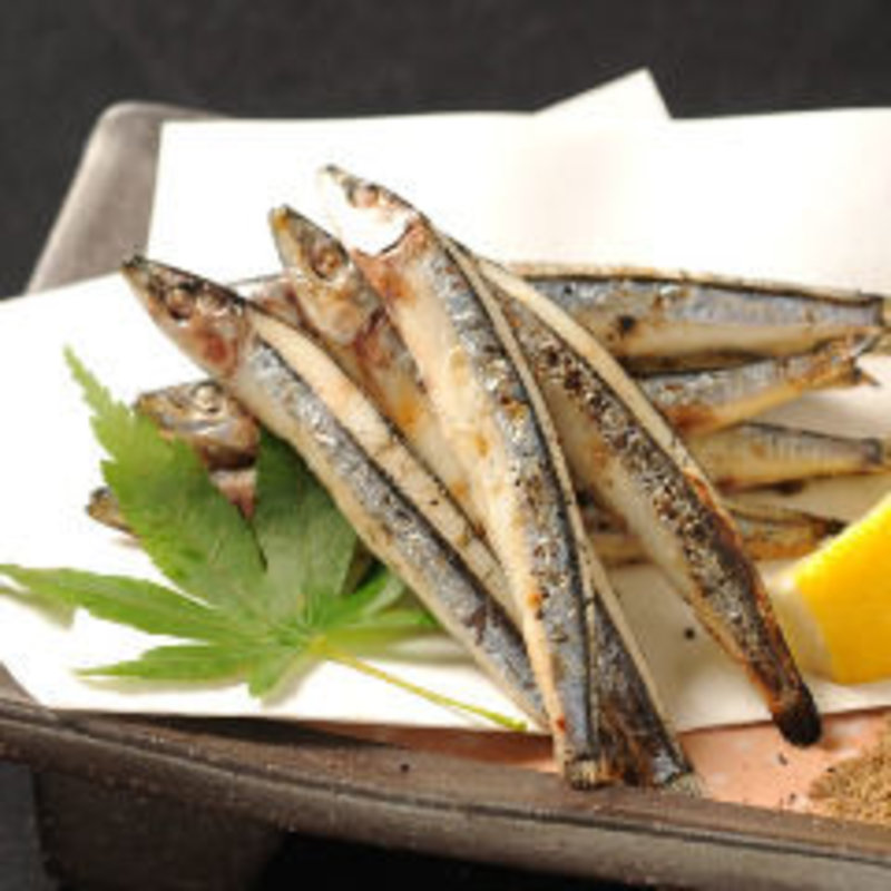 炙りきびなご(九州酒場　博多流。 錦糸町店 )