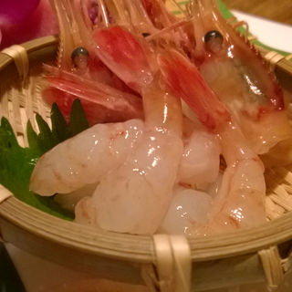 四季折々の獲れたて鮮魚が味わえる！大阪府で注目のお刺身料理
