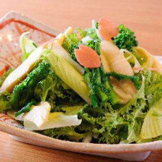 旬野菜サラダ(凛火 新宿店 )