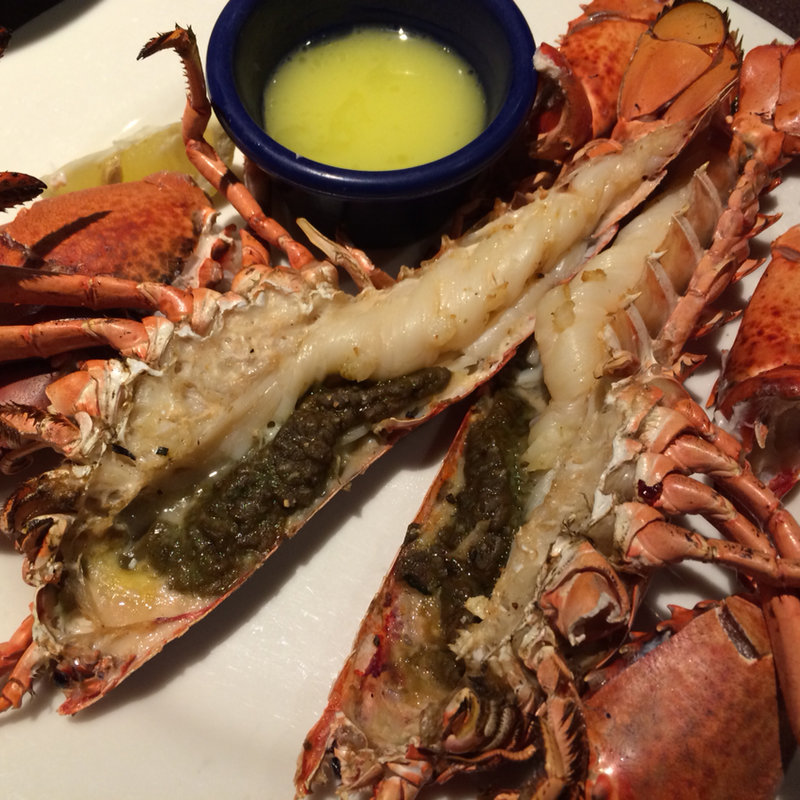 ライブロブスター レギュラー(レッドロブスター アクアシティお台場店)