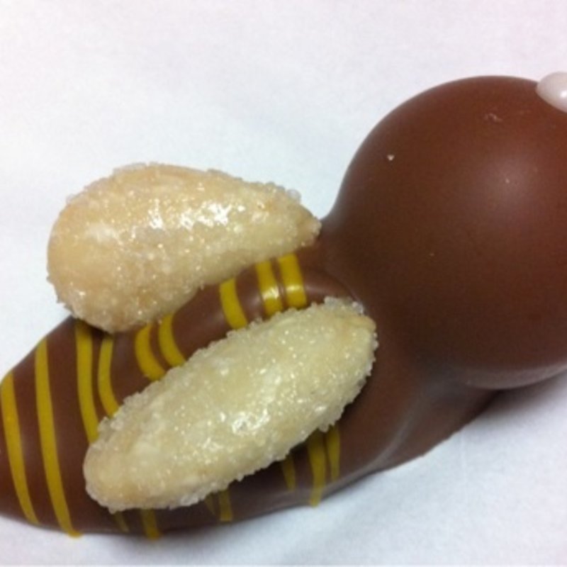 ハニービー(レダラッハ青山店)