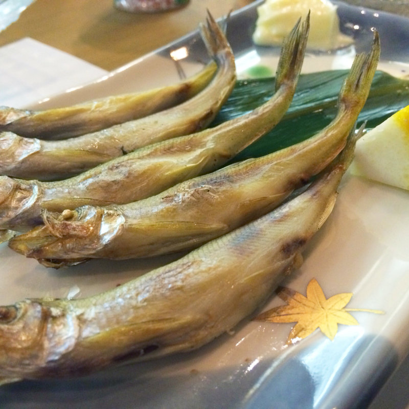 シシャモ(漁川 )