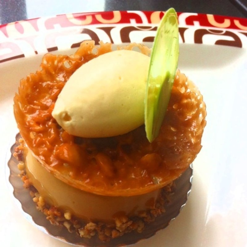 ヤマブキ(アステリスク)