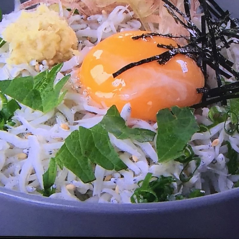 しらす釜揚げ丼(中原水産)