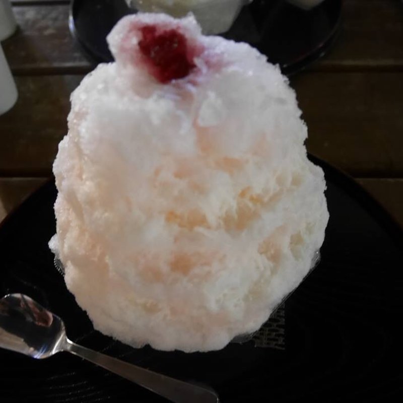 バラ(雪うさぎ )