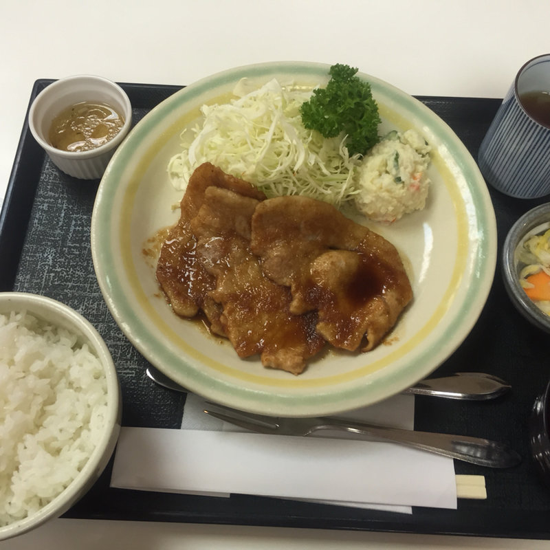 霧降高原豚生姜焼き定食(佐野サービスエリア（上り線） レストラン )