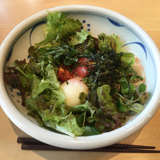 博多明太サラダうどん(冷)(茶ぶ釜 )