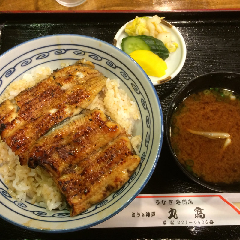 上鰻丼(丸高)