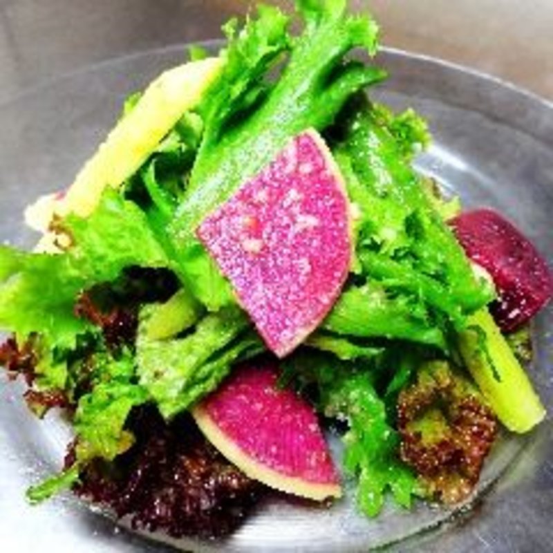 朝採れサラダ(ティアーモ425 （Ti amo-425）)