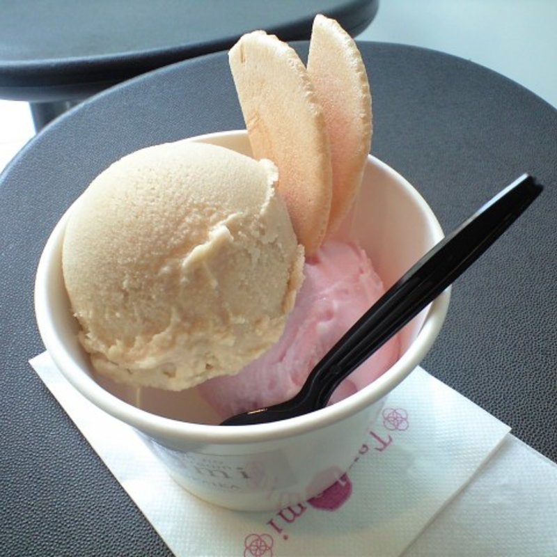 レギュラーカップ(ツボミ （Tsubomi）)