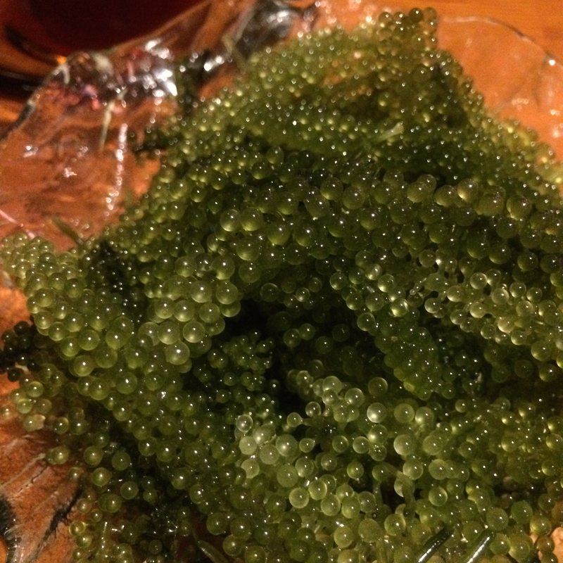 海ぶどう(かじまや〜)