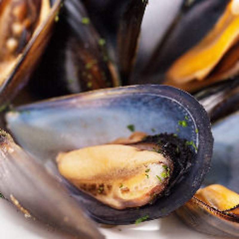 ムール貝のシャンパン蒸し(Italian Dining Vittoria 北千住店 （イタリアン ダイニング ヴィットリア）)