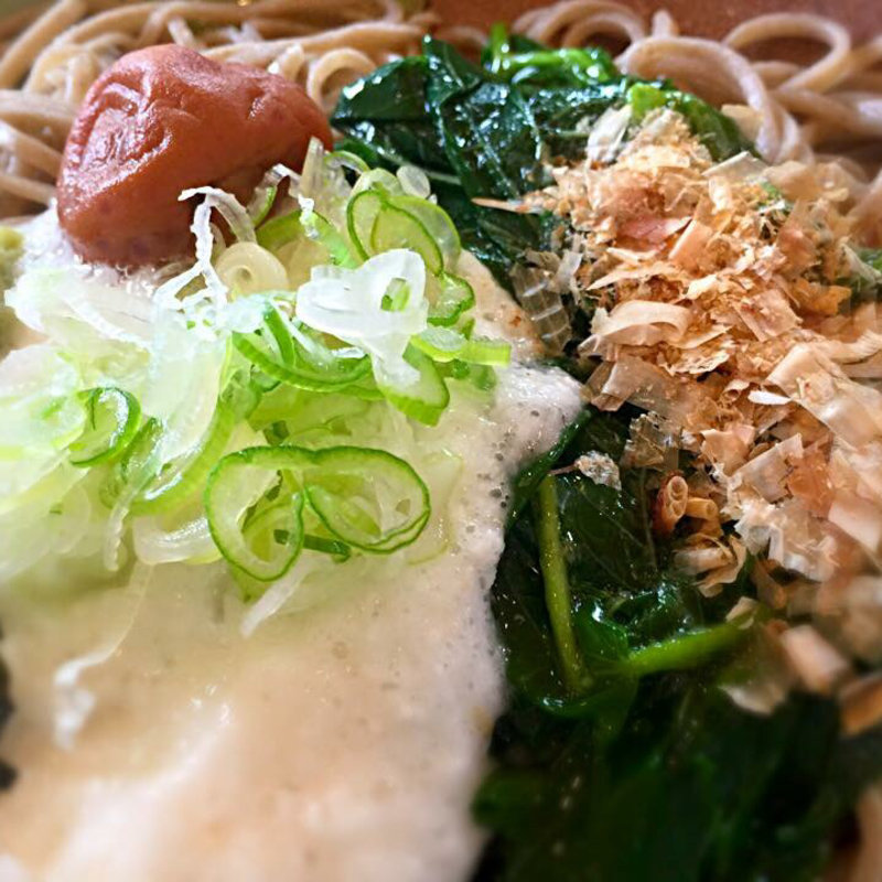 梅とろろ蕎麦(秦野市田原ふるさと公園そば処東雲)