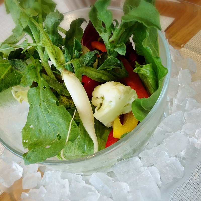 とれたて野菜サラダ(なぎさ食堂 )