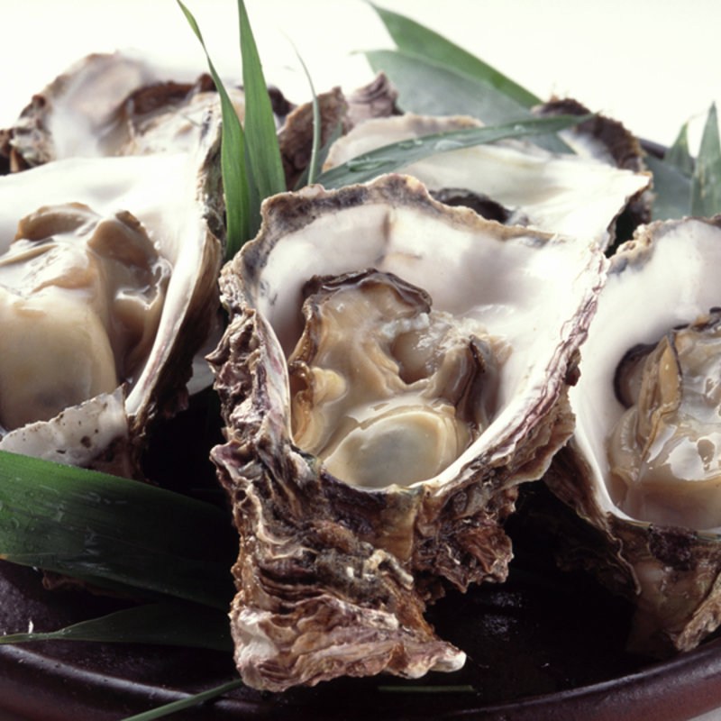 生牡蠣(花懐石ふる林)