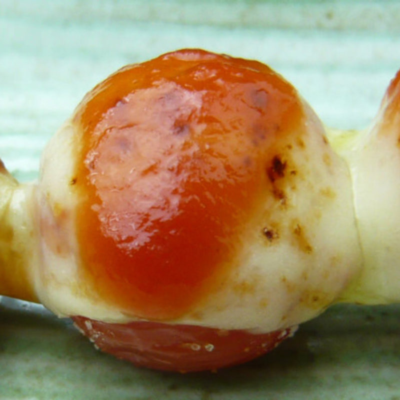 トマトチーズ(へちもん)