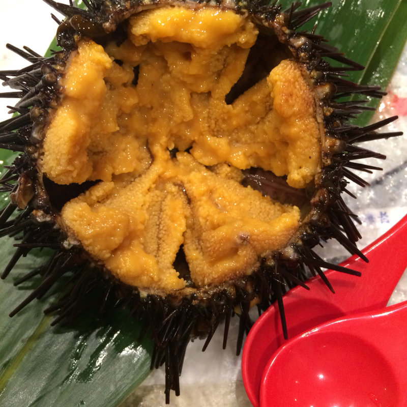 殻付きうに刺し(梅丘 寿司の美登利 銀座店)