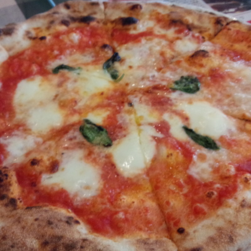 新窯ナポリピッツァランチ(大衆イタリア食堂アレグロつかしん店)