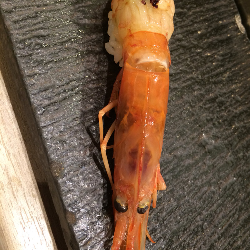 赤エビ(梅丘 寿司の美登利 銀座店)