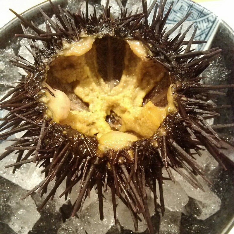 ガゼ雲丹(うまい鮨勘 赤坂支店)