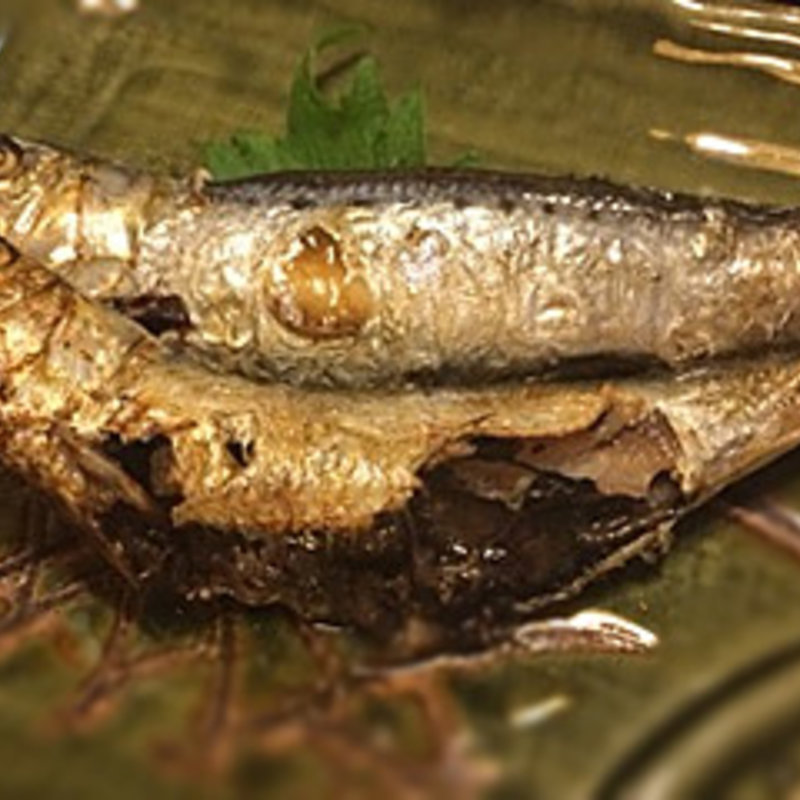 鰯丸干し(大作)