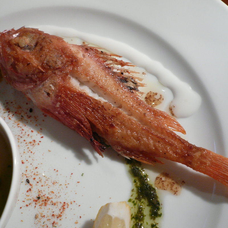 かさごのグリル(ヒロ・プルミエ)