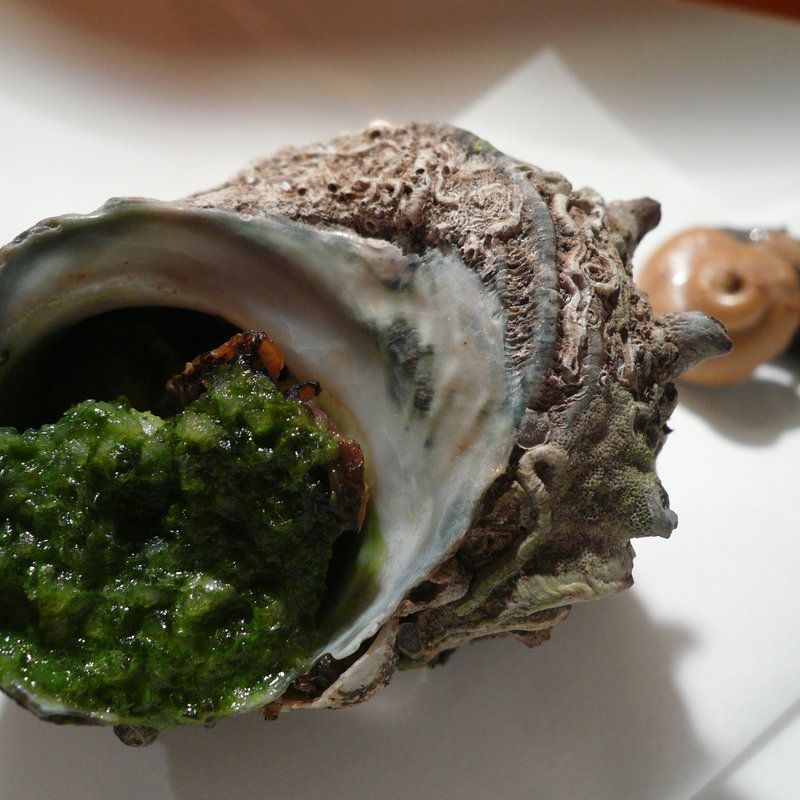 さざえの塩焼き(ヒロ・プルミエ)