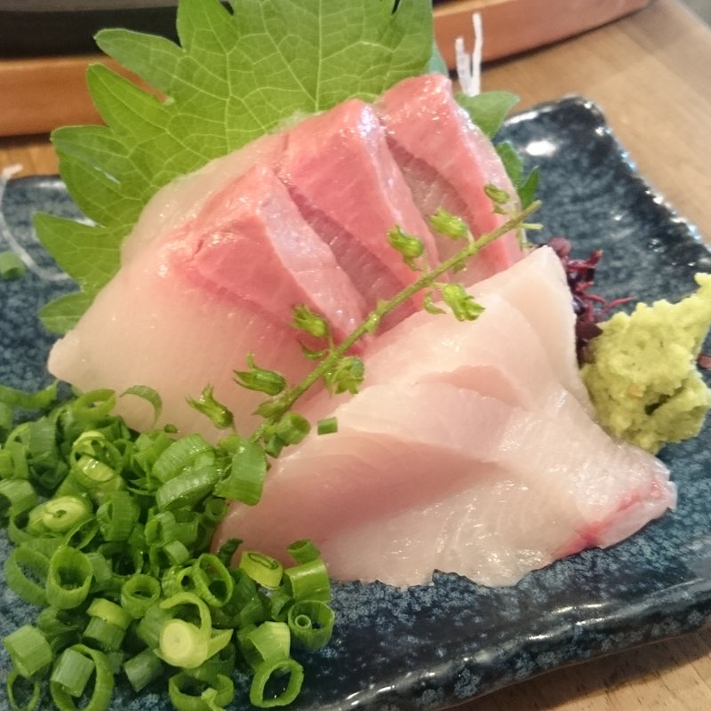 活〆！金比羅丸のブリ刺身(食道楽 上野店)