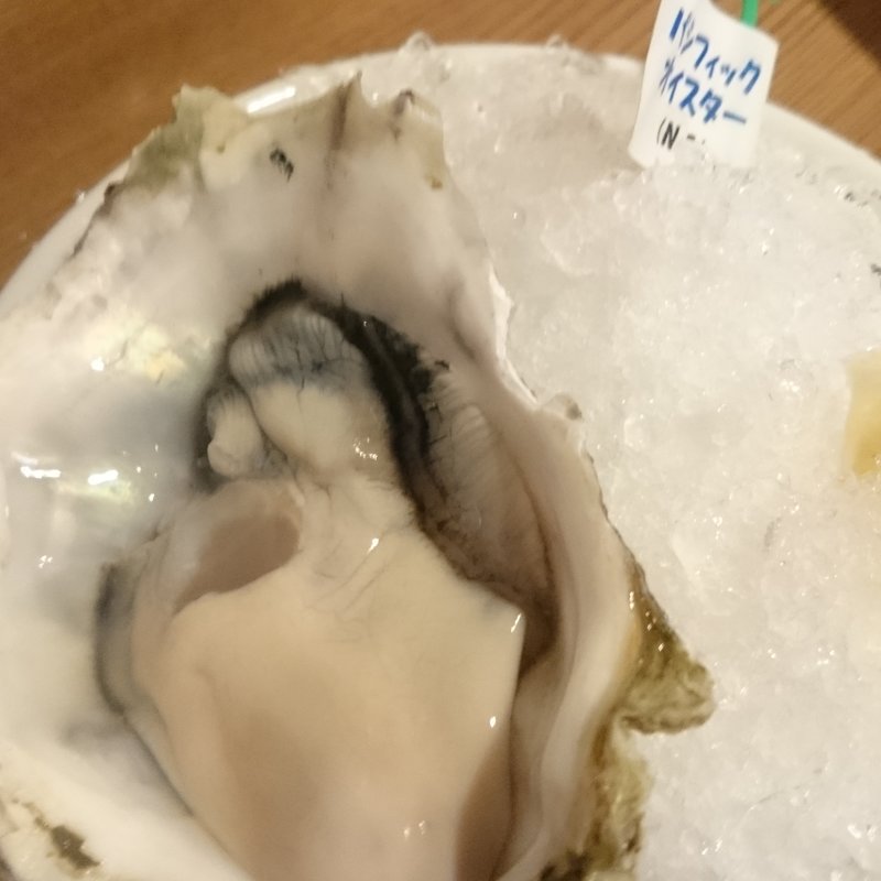 生かき　パシフィック(かき小屋 新橋 )