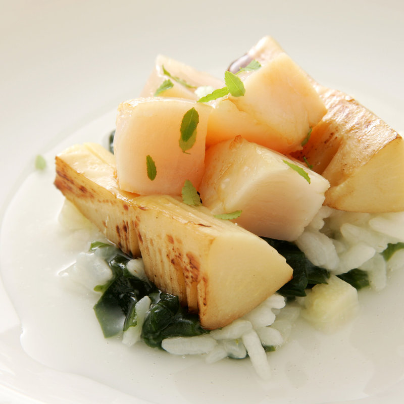 昼の和仏フルコース(丁未 坂)