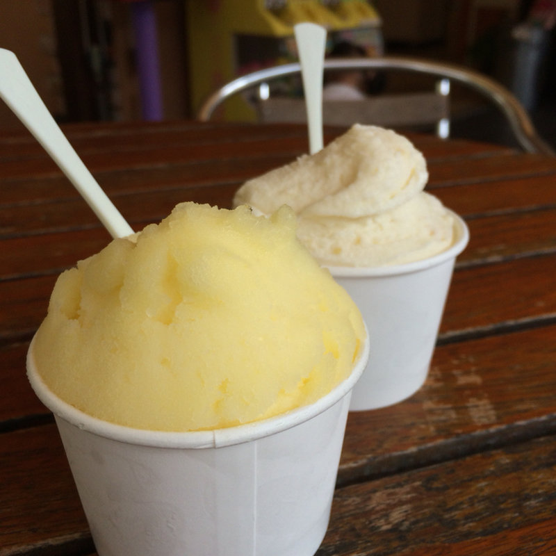 ジェラート(みかんの木 )