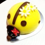 マドモアゼル(グラッシェル 表参道店)